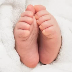 Sweet Jojo Designs Girl Baby Milestone Blanket Watercolor Magnolia Green And Ivory 9 Sweet Jojo Designs Girl Baby Milestone Blanket Watercolor Magnolia Green And Ivory -Sweet Jojo Designs Shop GUEST 222137ab 9c49 465a 9a9d 5784aab08b00 4