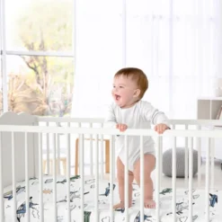 Sweet Jojo Designs Boy Fitted Crib Sheets Set Airplane Green And Blue 2pc 10 Sweet Jojo Designs Boy Fitted Crib Sheets Set Airplane Green And Blue 2pc -Sweet Jojo Designs Shop GUEST cc23c92d b298 4b14 bdb0 819fb950f7ae